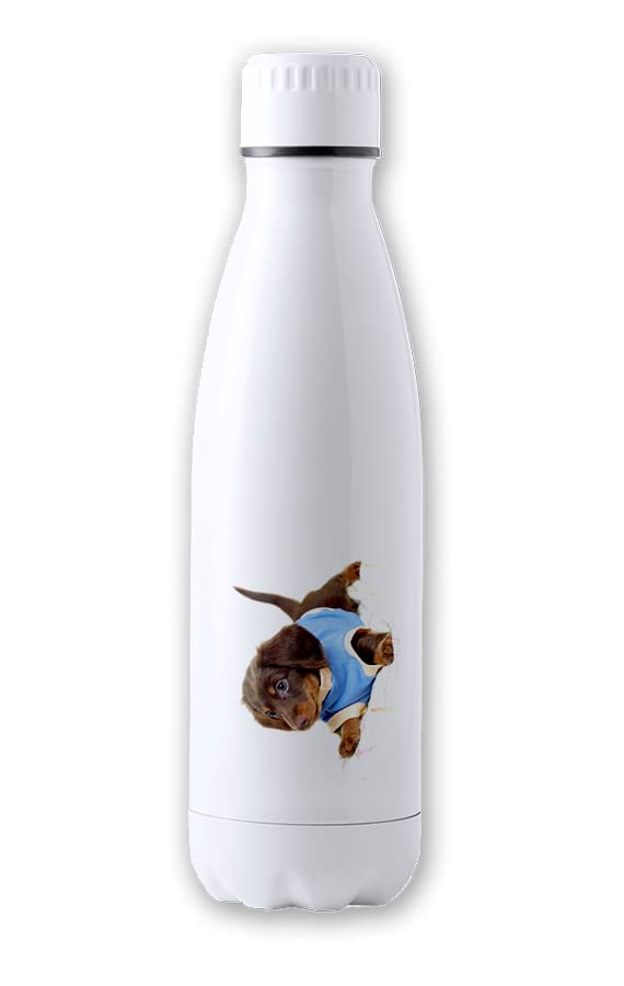 MERCHANDMANIA BIDON 700 ML ACERO INOXIDABLE perro salchicha arlequín perrito gracioso jugar tapon seguridad botella
