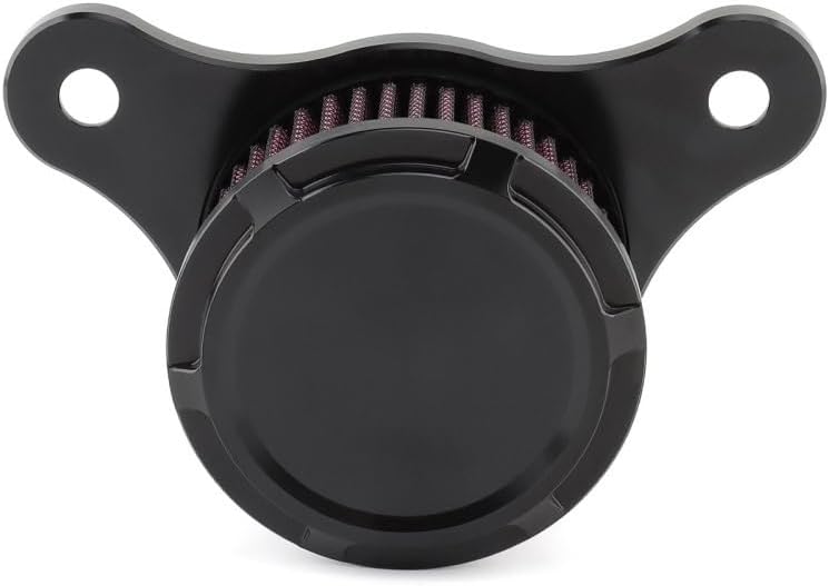 Air Cleaner Filter Intake Kit Compatible For Harley Dyna FXR EVO 1993-2017 Softail Fat Boy Breakout Touring Road King Electra Glide(Chrome Black)