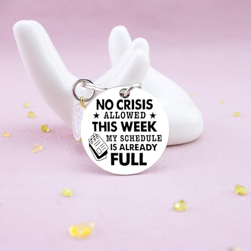 Iweca Presentes engraçados para chefe, colega de trabalho, líder e gerente, presentes sarcásticos pa