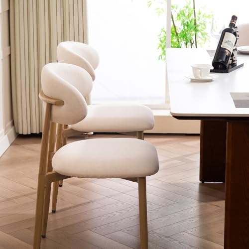 UVV Dining Chairs Set of 2, Metal Kitchen Chairs with Modern...