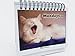 Cat Lover Gifts for Women - Funny Desk Signs & Office Decor | MoodyCards with Cat Memes | Ideal Coworker & Funny Gifts for Colleagues | Cool Desk Accessories for Office, Home & Cubicle