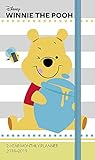 2018 Winnie the Pooh 2-Year Pocket Planner / Calendar (Day Dream)