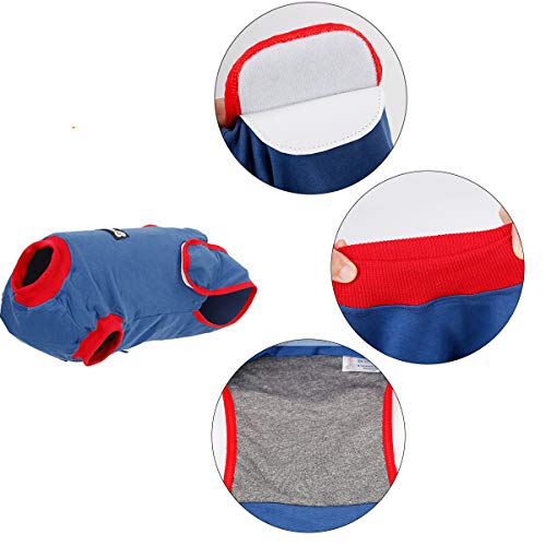 Tuta di recupero per cani da compagnia Protezione