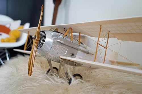 Avion modèle transparent Authentic Models objet d'art premium