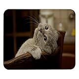 Base en caoutchouc antidérapant : la base en caoutchouc naturel doux et dense maintient ce tapis de souris fermement en place. Plongez simplement dans votre travail ou vos jeux sans vous soucier du mouvement gênant du tapis de souris.