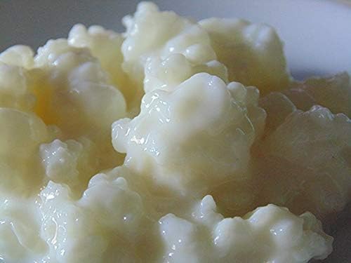 Raw Organic Organic Milk Kefir Grains Tibetan Mushroom (50g)