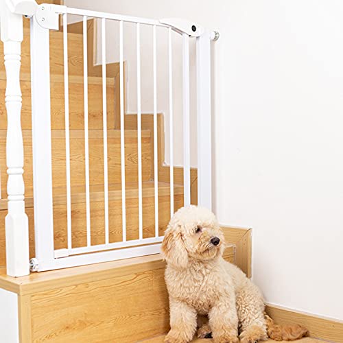 ybgpxr[T[N ybgpZ[teBQ[g I[gN[YZ[teBtFXvbV[tBbg GNXgChhbOQ[g hAƊKipt Ki肷q/96-103Cm