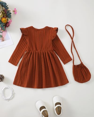 Saeaby Baby Girl Dress 1 Year Old Girl Clothes Fall Long Sleeve Ruffle Casual Dress Bowknot Toddler Girls Outfits Winter for Brown 12-18 Months Old Girls