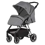 Dream On Me Strider Stroller Lightweight Stroller with Compact Fold, Multi-Position Recline | Lightweight Stroller 0-36 Months, Gray