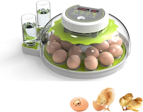 BOYVEN Incubateur pour œufs de poule, 18 œufs avec rotation automatique des œufs et contrôle de la température et de l'humidité, vue panoramique à 360 ° pour éclosion de poules (vert)