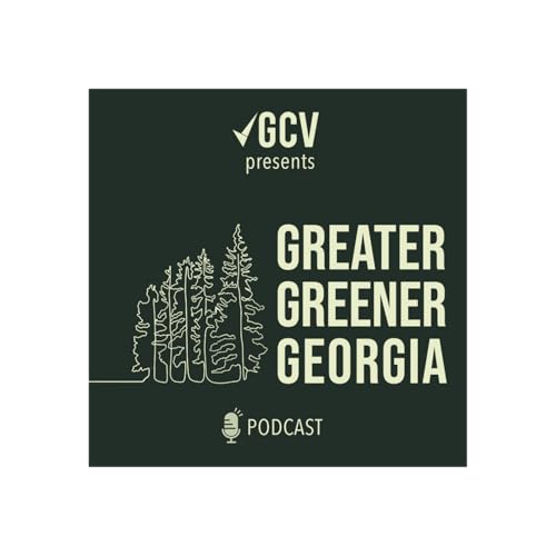 Georgia 2026: The Elections, the Energy, and the Stakes for Our Future