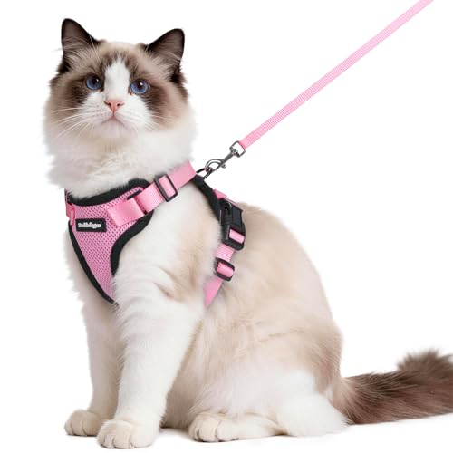 Image of rabbitgoo Cat Harness and Leash Set, Escape Proof Vest, Pink | Soft Breathable Mesh, Easy Adjustable Fit, Snap Buckles, Sturdy Clip, Reflective Strips, for Medium to Large Cats Walks, M