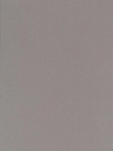 Canson Mi-Teintes Mat Board Flannel Gray 16 in. x 20 in. [Pack of 5 ]