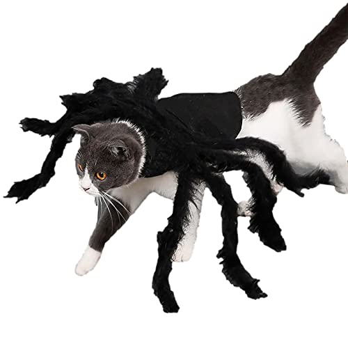 Fantasia de aranha de estimação,Pet Spider Cosplay Traje Decoração de Festa - Fato de gatinho ajustá