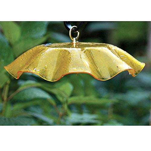 Birds Choice Wgyellow Weatherguard, Weather-Resistant Acrylic Bird Feeder Weatherguard, 13", Yellow… #TOP2