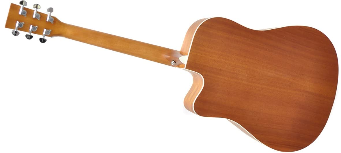 Amazon | PLAYTECH (プレイテック) アコースティックギター ドレッド