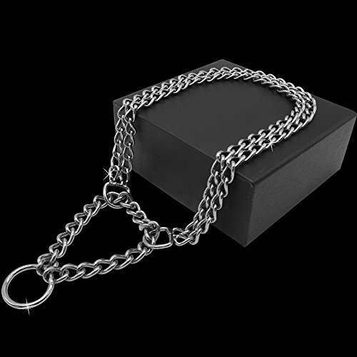 image for Berry Pet Dog Pet Martingale Pinch Metal Stainless Steel Collar for Tr