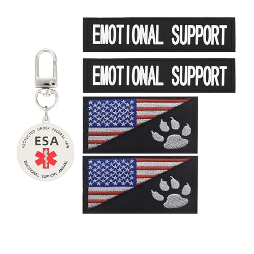 walitefu G[ViT|[g Aj}pb`ƃ^OAč tbN&[v pxXgn[lXp(04-u[)