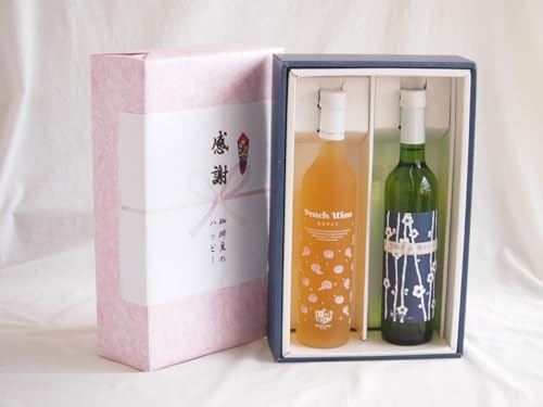 ӂ̑蕨{bNX Ìt[cCƍYCZbg(sJ ~킢񃏃CÌ(s{)500mlÌC(R`)500ml