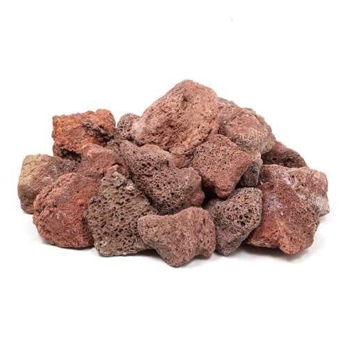 `󂨔C gn TCY~bNX P ANAE CAEgf