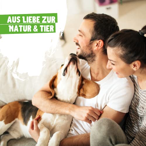 Anton Weiss® Kompostierbare Farbwanne | umweltfreundlich | 250ml | 32x21x6 cm | Farbenfächer für Rolle und Pinsel | für die nachhaltige Renovierung