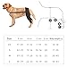 Dog Recovery Sleeve - Hip Brace for Dogs, Dog Sleeve Recovery | Dog Leg Support Brace, Rear Leg Knee Brace, Pet Leg Wounds Protector, Hip Joint Support, Protect Wounds for Small, Medium Dogs