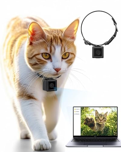 ZoomaraKam Cat Camera Collar 1080P HD Video Recording Pet