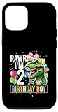 T Rex Dino B-Day Party Design with Balloons