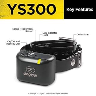 DOGTRA YS 300 collier Anti-aboiement pour chien de petite et moyenne taille