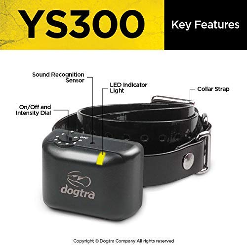 Dogtra YS300 Collar in Action