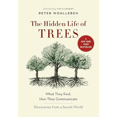 The Hidden Life of Trees: What They Feel, How They Communicate―Discoveries from A Secret World