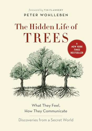 The Hidden Life of Trees: What They Feel, How They