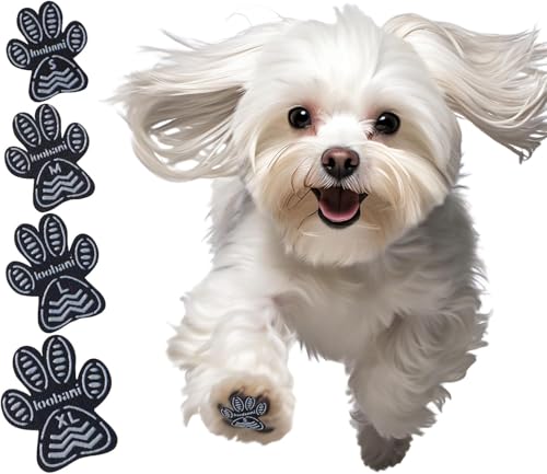  ~ V[ V⏕ p~߃pbh S͂ Lk ϋv ]|h~  ی h~ t[Oׂ~ gNVɒ񋟂 ׂ ~ tbg pbh (g, S*48)