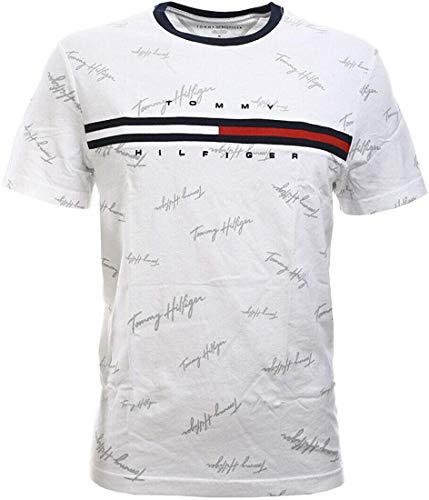 Tommy Hilfiger Men's Classic Fit Big Logo T-Shirt (Large, Silver Tommy Hilfiger Signature)