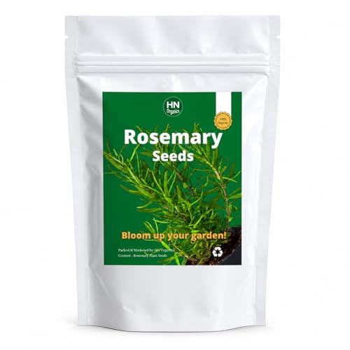 Image of Rosemary Seeds for Planting in Home Kitchen Garden (35-40 Seeds) (Rosemary)