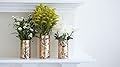 Cricut Crafts: Make Stenciled Vases