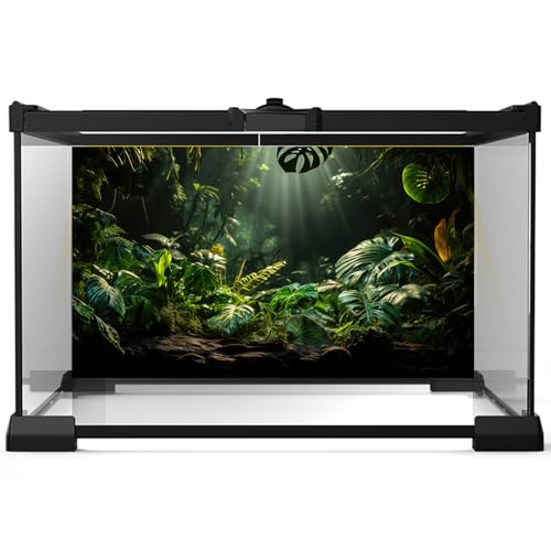 Image of Tropical Leaf Aquarium Background Green Palm Leaves Fish Tank Background Nature View Sunrays Jungle Leaf Reptile Tank Backgrounds Misty Rainforest Plants Reptile Enclosure Backgrounds 72x16in