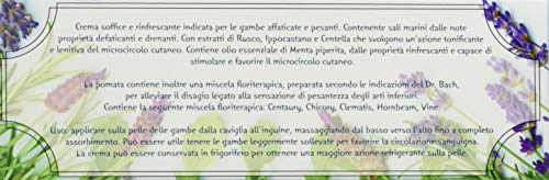 Alma Briosa Fitopomata Ven-Tonic- 100 Ml - 3