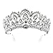 Frcolor Tiara Crowns ，Rhinestone Crystal Queen Tiara Headband Wedding Pageant Crowns Princess Crown for Women