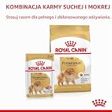 Royal Canin Pomeranian Adult | 1,5 kg | pełnoporcjowa karma dla psów | sucha karma dla dorosłych i starszych końcówek karłowatych, od 8 miesiąca | dostosowana zawartość minerałów