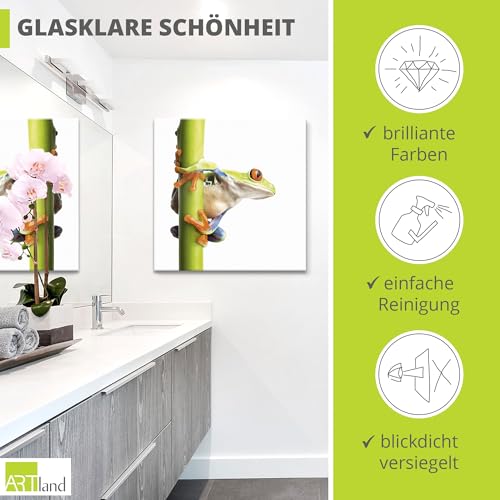 Bild 2