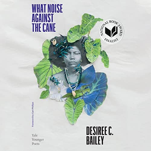 What Noise Against the Cane Audiobook by Desiree C. Bailey