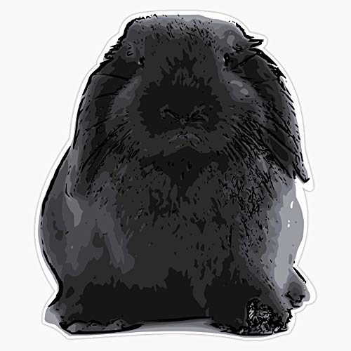 Bunny Lop Vinyl Waterproof Sticker Decal Car Laptop Wall Window Bumper Sticker 5