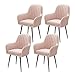 WWL 4er Set Nordische Moderne Esszimmerstühle Stühle Freizeitstuhl Sessel Stoff Kunst Gold Velvet Living Zimmermöbel Dekoration Studie Computer Stuhl Esszimmerstühle (Color : E)