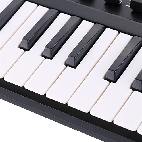 不明 MIDI キーボード コントローラー ミニ 25 キー USB キーボードとドラム パッド の商品画像 1