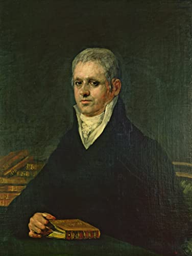 Lienzo mural de Don José Munarriz por Francisco de Goya, el alma del arte en tu salón