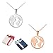 Produktbild 2 Stk Weltkette Damen Weltkugel Halskette Weltkartenkette Globuskette mit rundem Welt Anhänger Rosegold und Silber Damen Weltkarte Kette mit Globus Anhänger Edelstahlschmuck