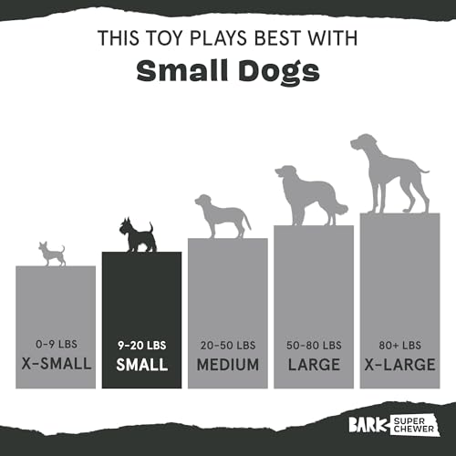 Barkbox BARK Macaruffs| Plush Dog Toy Bundle for Small Dogs, Perfect for Cuddles and Gift Giving