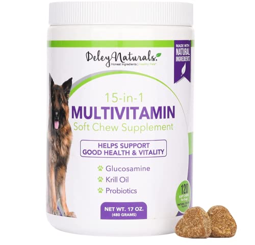 Deley Naturals 15 in 1 Dog Multivitamin Treats - 120 Grain Free Soft Chews - -Immune System, Skin & Coat, Joint Support & Digestion - Vitamins for Dogs of All Ages - Made in USA - Chicken Flavor