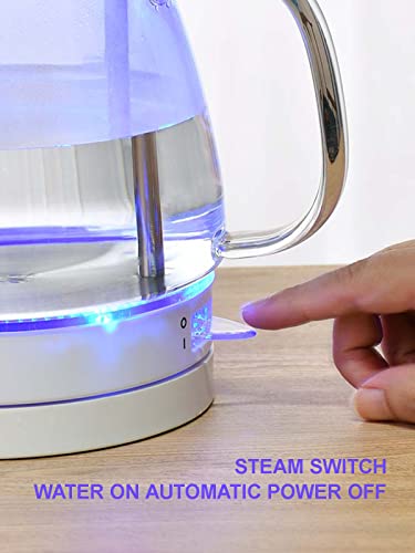 Bouilloire électrique en verre borosilicate transparent et éclairage LED moderne